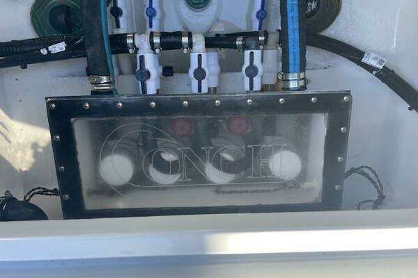 Conch  Yacht For Sale