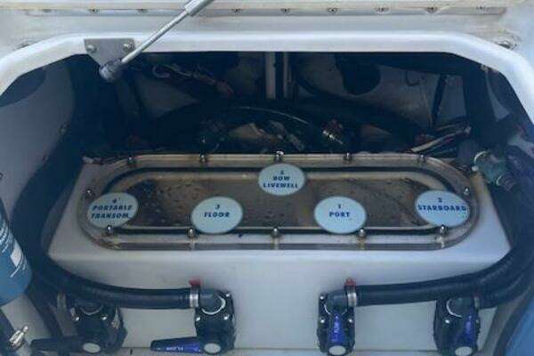 Contender  Yacht For Sale