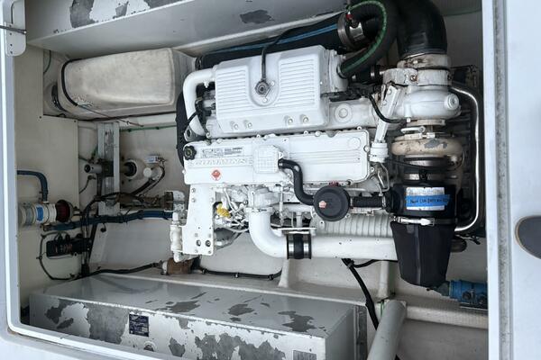 Megalodon 35ft Commercial Yacht For Sale