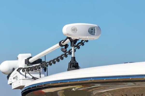 Shearwater 260 SS Carolina