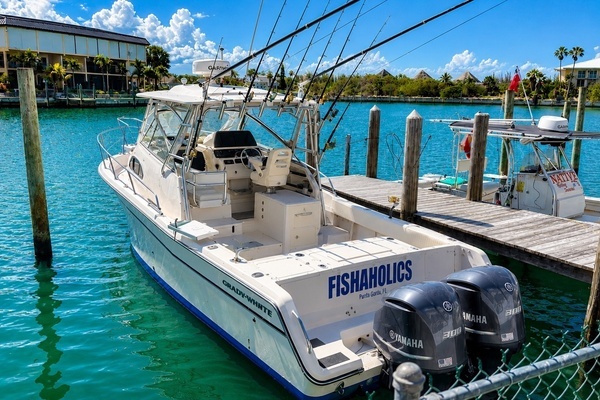30-ft-Grady-White-2007-Marlin 300-Fishaholics-Punta Gorda Florida United States yacht for sale