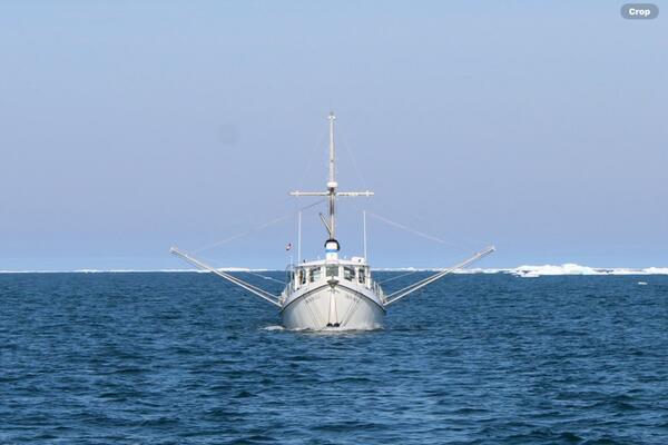 Iron Will 48ft Custom Yacht For Sale