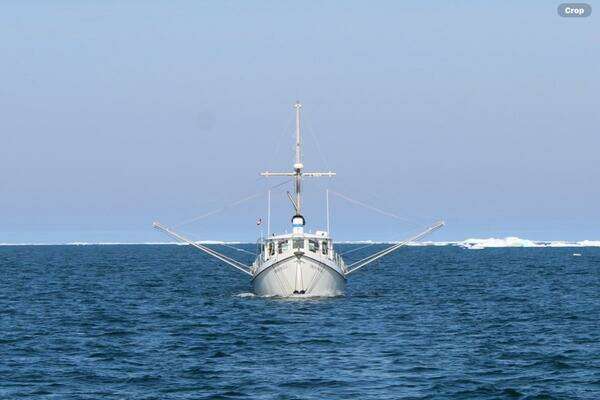 Custom Sprague Yacht For Sale