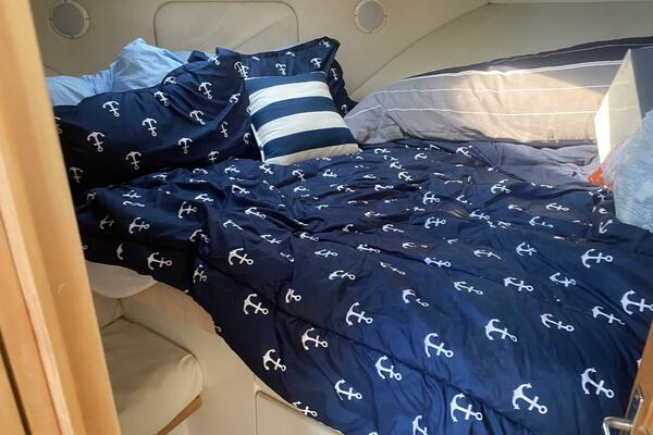 37ft Carver Yacht For Sale