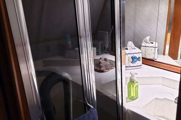 45ft Bayliner Yacht For Sale