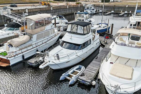 Still Not My Fault 39ft Carver Yacht For Sale