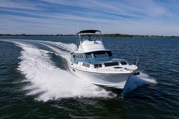 Bertram 38 - FIELD & SEA - Bow Profile