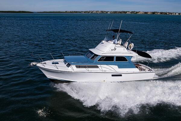 Bertram 38 - FIELD & SEA - Port Profile