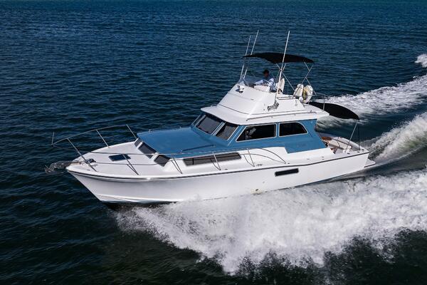 Bertram 38 - FIELD & SEA - Port Profile