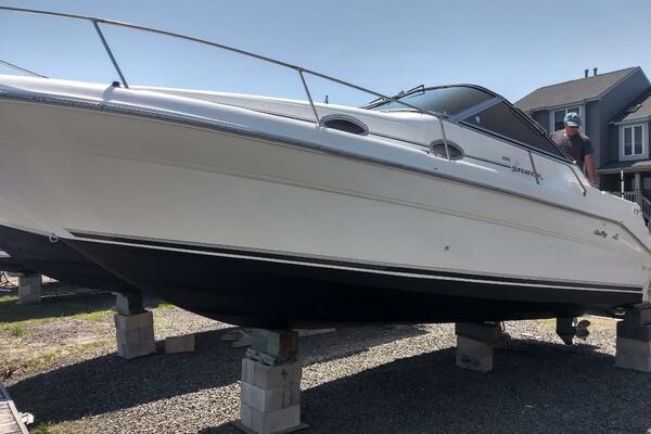 Serendipity 27ft Sea Ray Yacht For Sale
