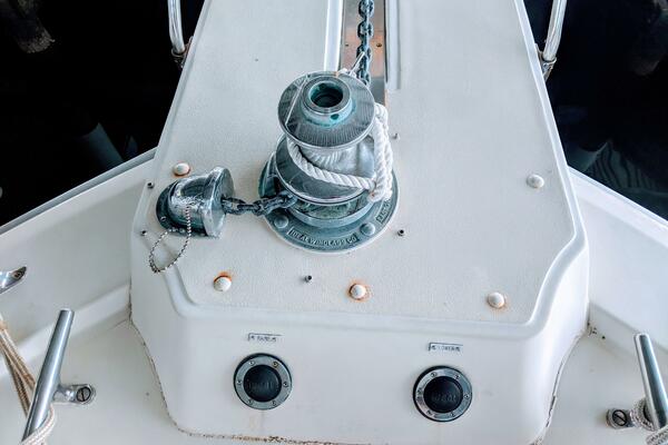 46' Chris Craft 1986