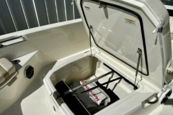 Boston Whaler 250 Dauntless - Bow