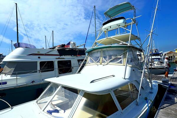 Last Pitch 31ft Bertram Yacht For Sale