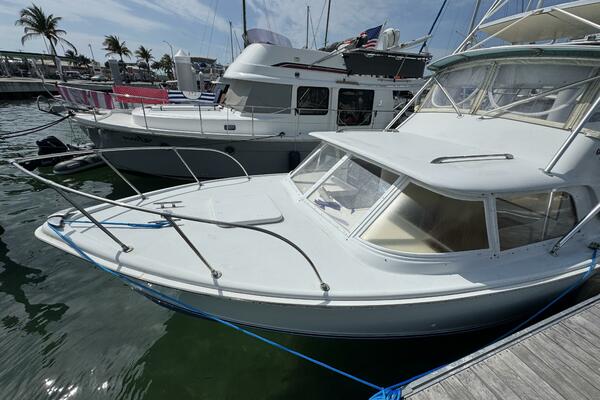 Last Pitch 31ft Bertram Yacht For Sale