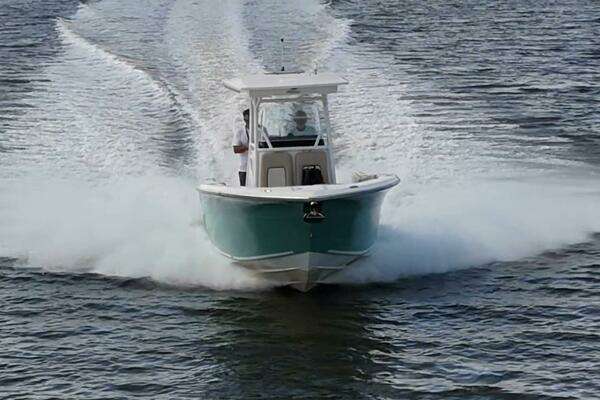 Photo of the 2018 Sea Fox 