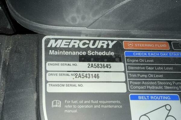 20ft Stingray Yacht For Sale