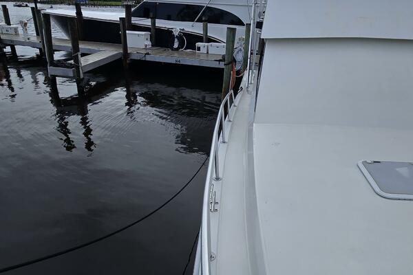 Viking 45 - Wild Life