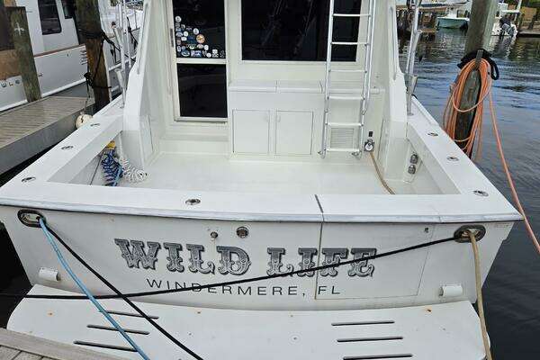 Photo of the 1989 Viking 45 Convertible "Wild Life"