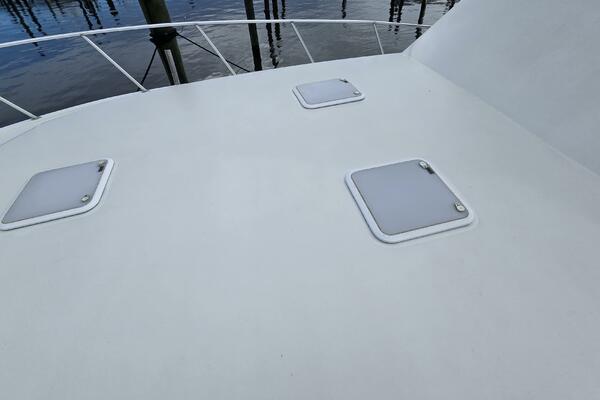 Viking 45 - Wild Life