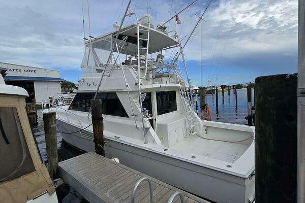 Photo of the 1989 Viking 45 Convertible "Wild Life"