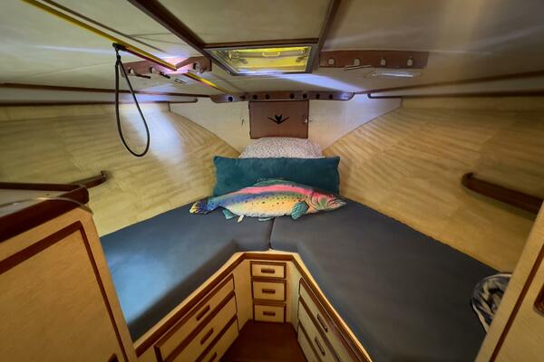 LAID BACK 46ft Bertram Yacht For Sale