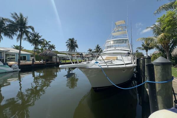 LAID BACK 46ft Bertram Yacht For Sale