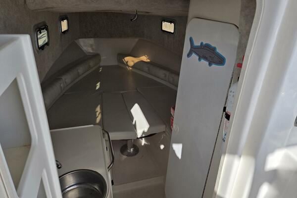 HuddaHoo 30ft True World Marine Yacht For Sale