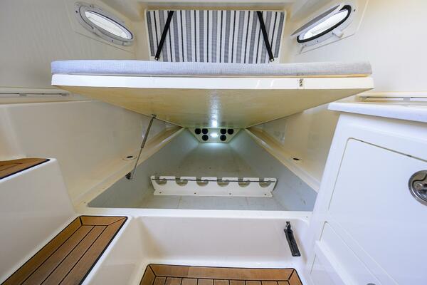 Cobia 35 - Conched Out - 