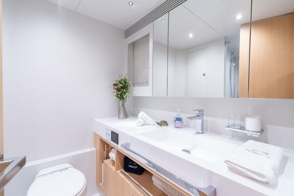 Horizon FD80 SHERI LYNN - Guest Stateroom Queen Ensuite Head