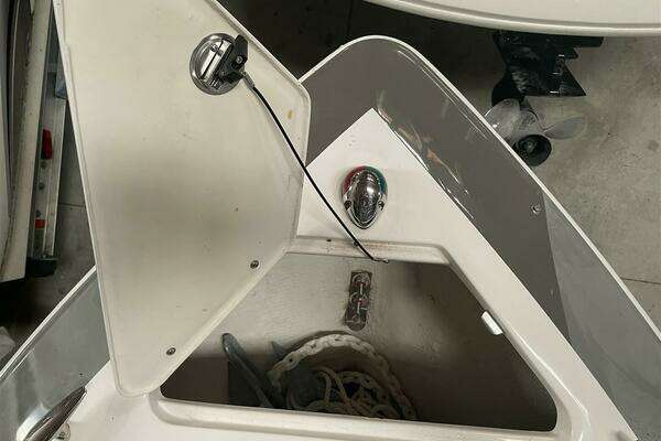 Photo of the 2019 Regal 2300 "Summer Love"