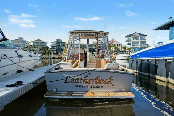 Photo of the 2002 Albemarle Express "Leatherback"