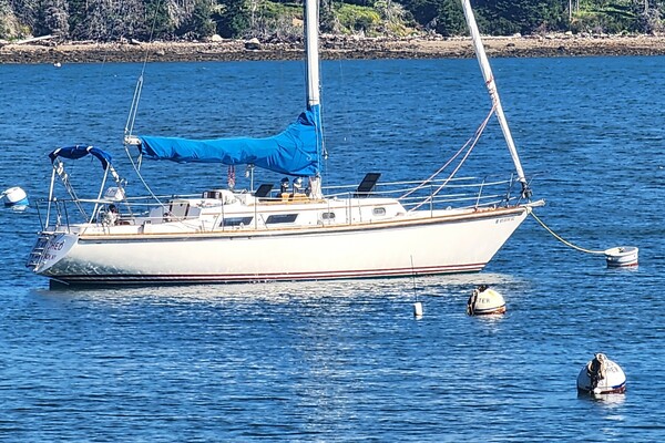 1980 Bristol 36 35.5C