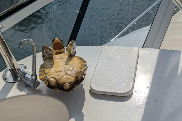 48ft Sea Ray Yacht For Sale