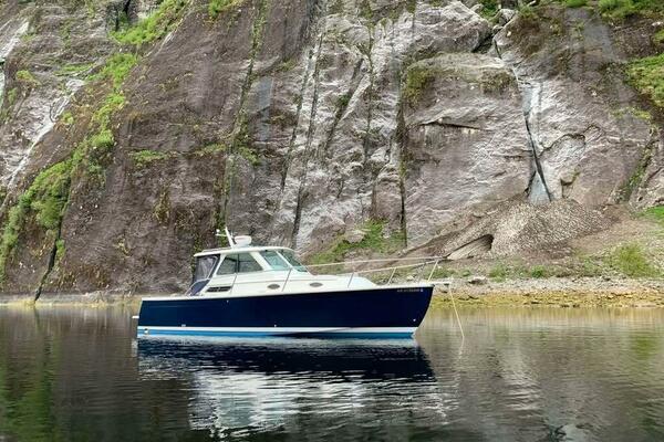 29ft Back Cove Yacht For Sale