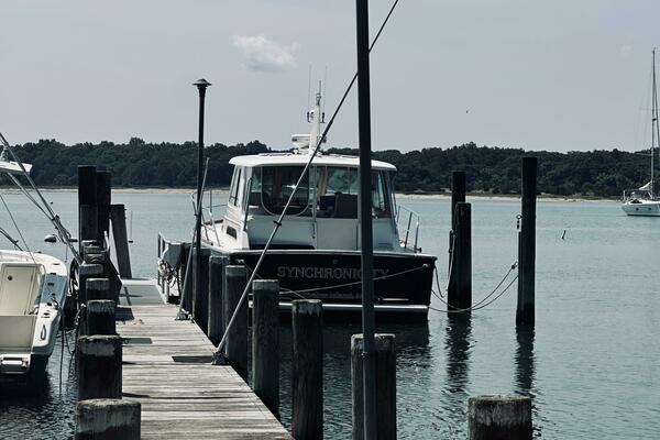 Synchronicity  34ft Sabre Yacht For Sale