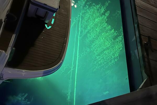 32ft Sea Ray Yacht For Sale