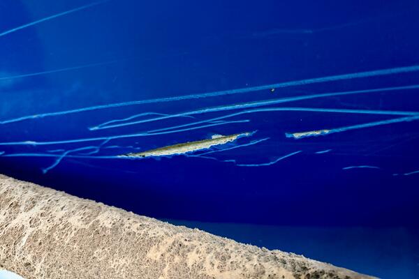 21ft Correct Craft Yacht For Sale