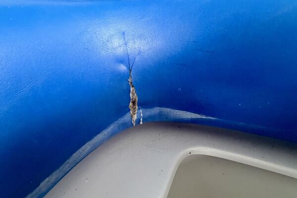 21ft Correct Craft Yacht For Sale