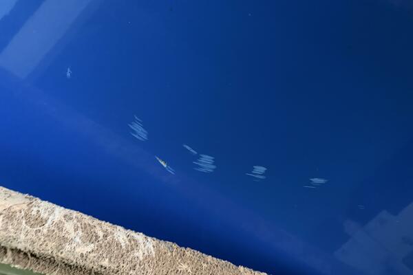 21ft Correct Craft Yacht For Sale