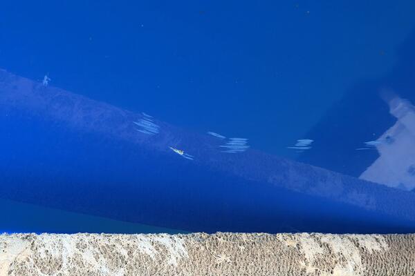 21ft Correct Craft Yacht For Sale