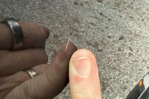 22ft Maxum Yacht For Sale