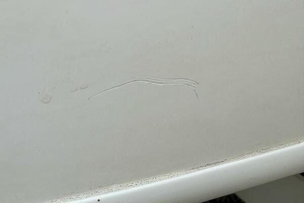 22ft Maxum Yacht For Sale