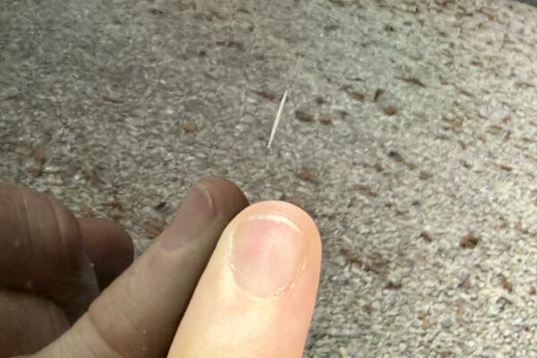 22ft Maxum Yacht For Sale