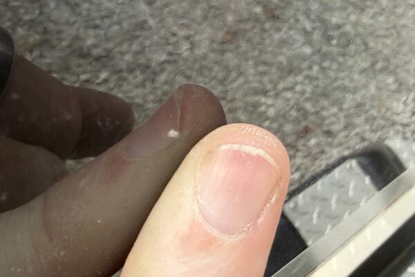 22ft Maxum Yacht For Sale