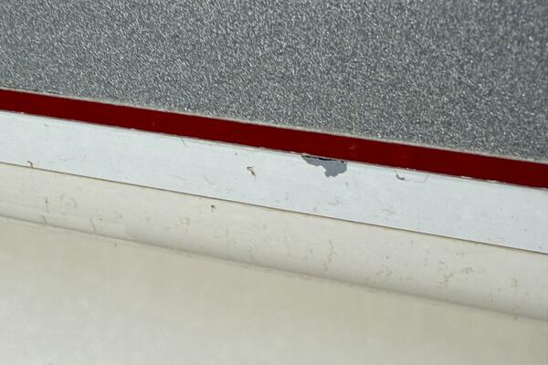 22ft Maxum Yacht For Sale