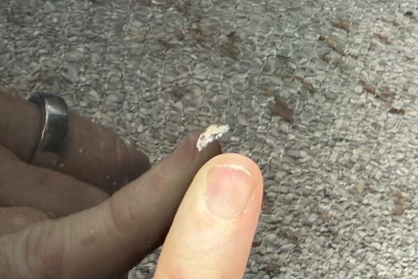 22ft Maxum Yacht For Sale