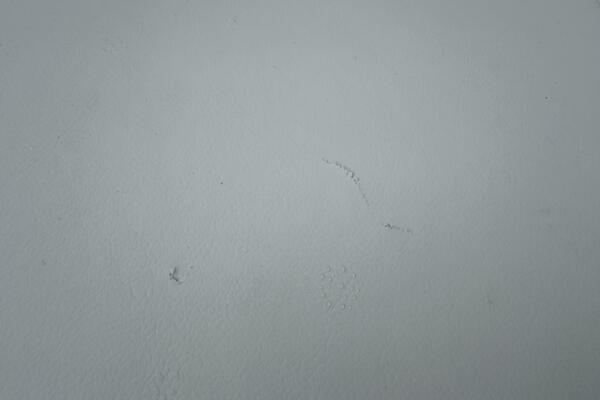 21ft Chaparral Yacht For Sale