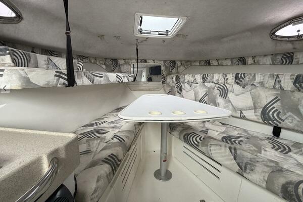 Big Fish On 29ft Wellcraft Yacht For Sale