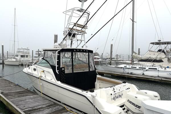 Big Fish On 29ft Wellcraft Yacht For Sale