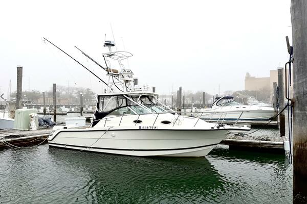 Big Fish On 29ft Wellcraft Yacht For Sale